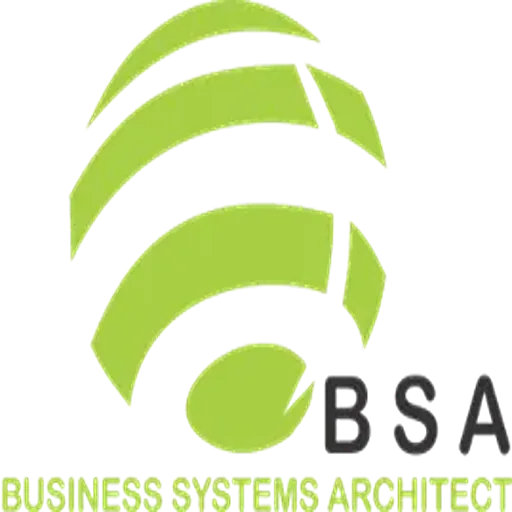 BSA — Business Systems Architect